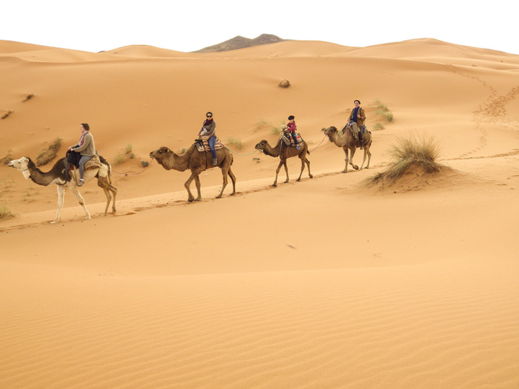 Learn French in Fez, Morocco